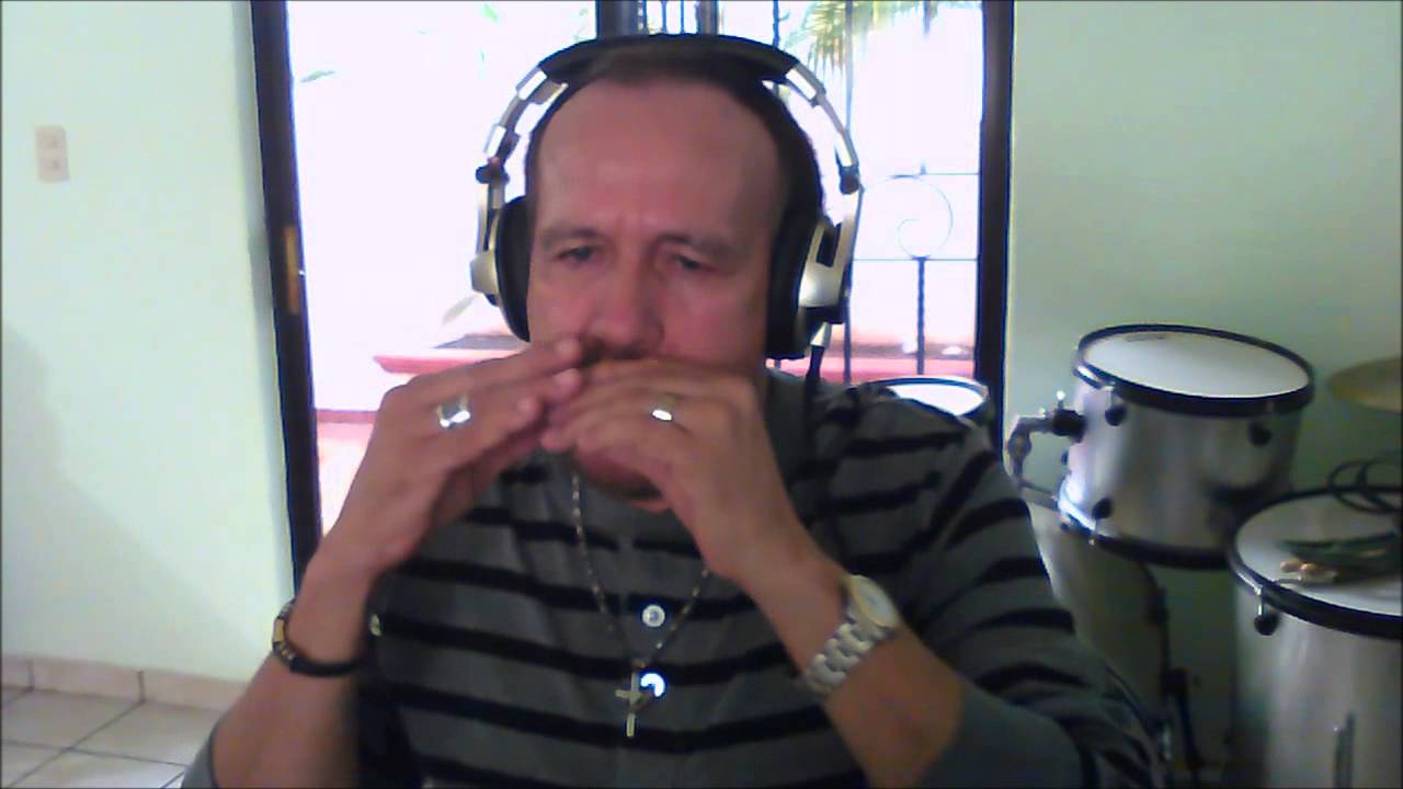 Harvest Moon - Harmonica by Harmonicalf