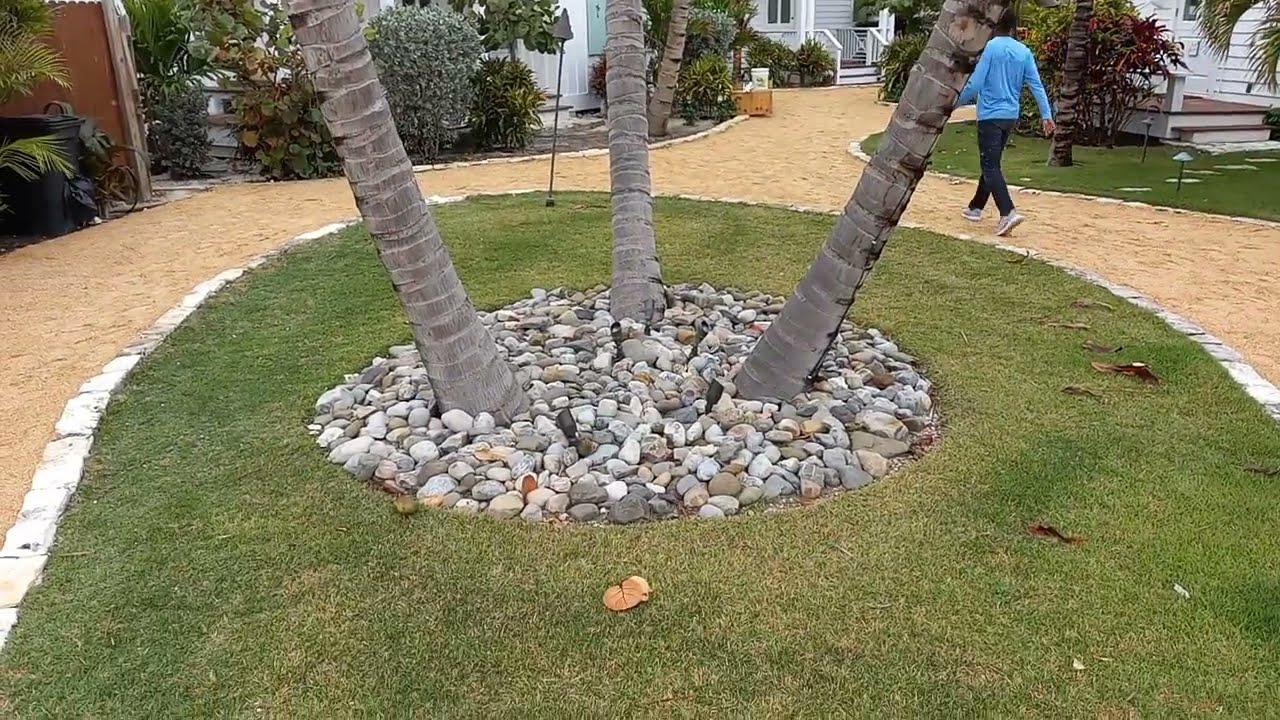 progress on large landscape job