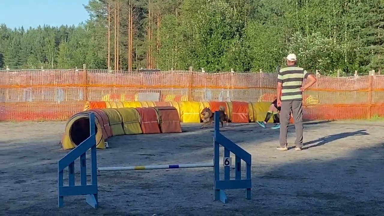 Pulma B-hyppyrata 7.8.2025 pikkumaksi1 Lapua