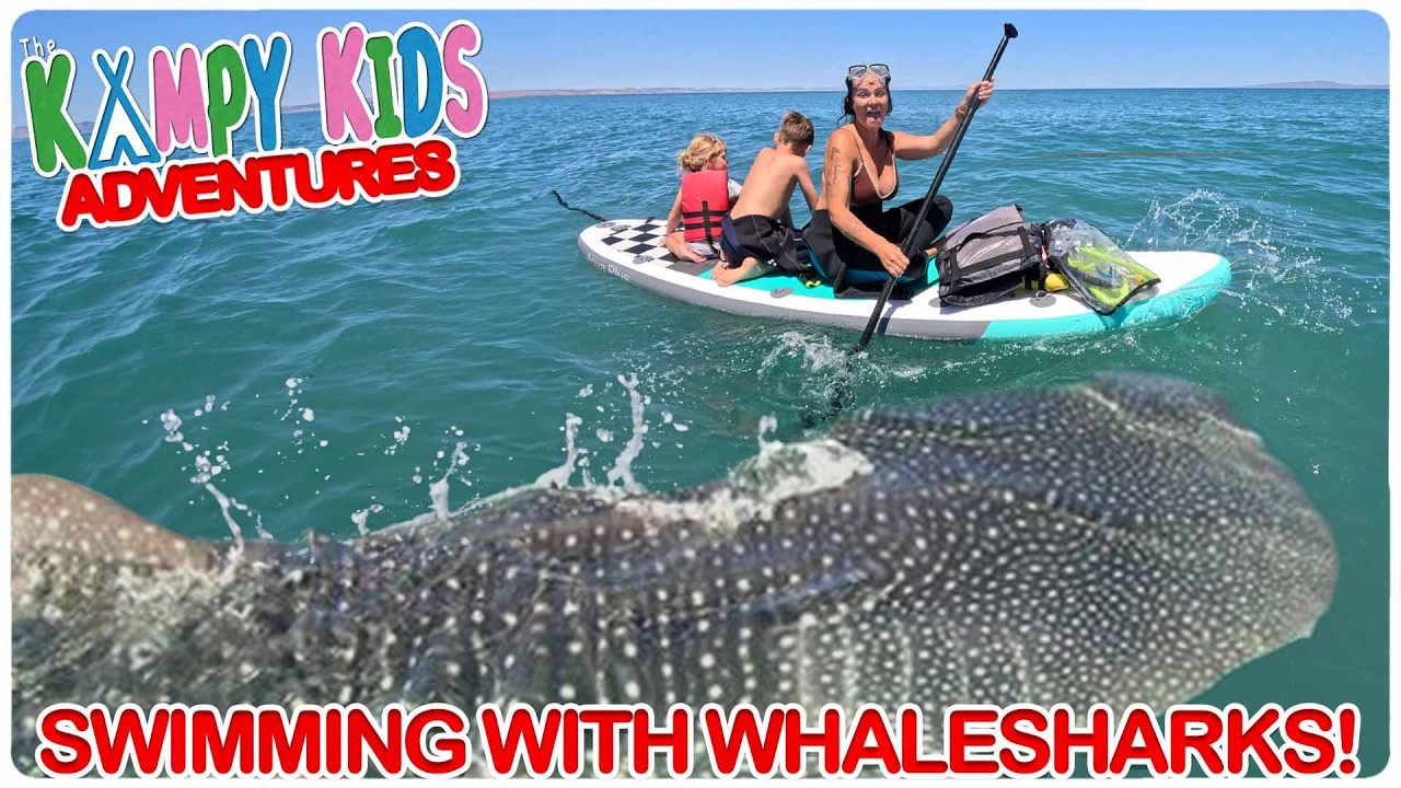 We Met as Strangers Camping… Then Swam With Whale Sharks Together