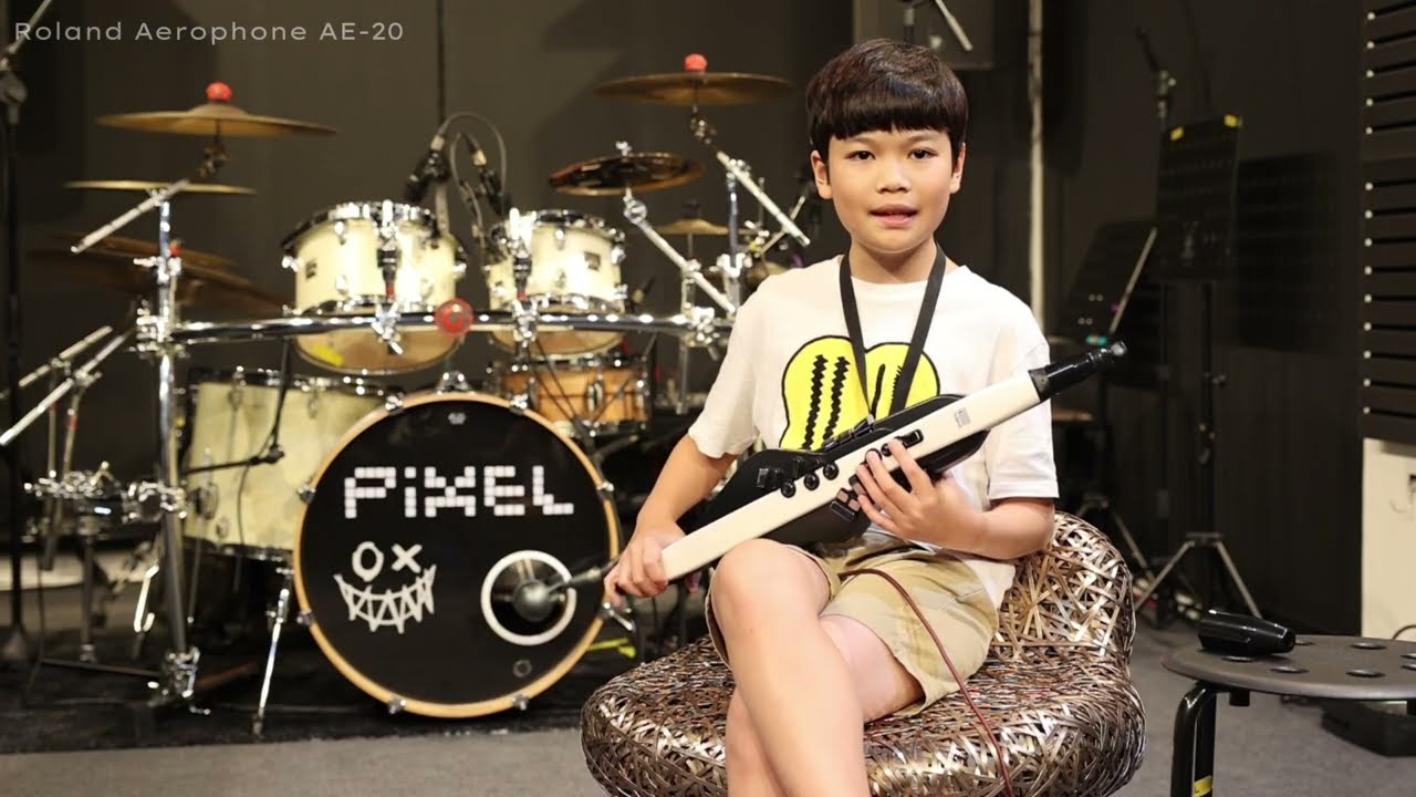 Roland Aerophone AE-20 Review | by Smile | Theera Music