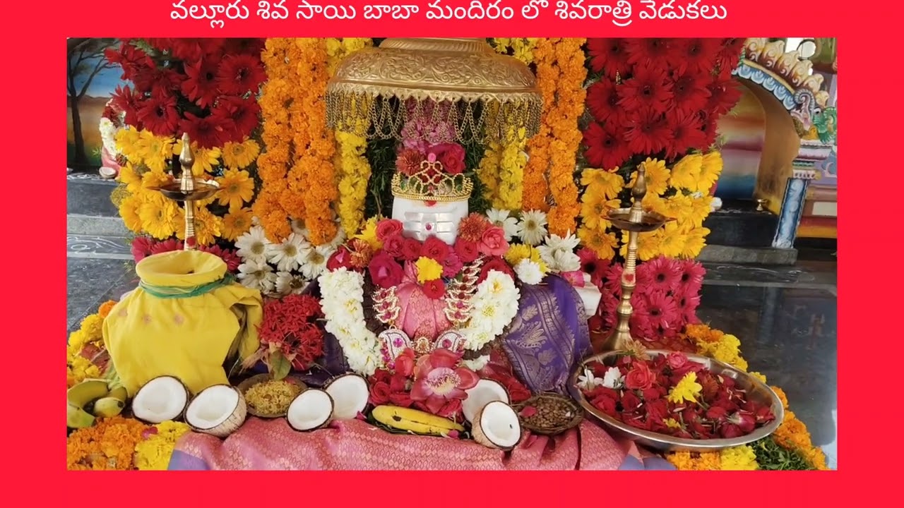 Nknews ✍️ ముత్తుకూరు శివాలయం ,వల్లూరు లో శివరాత్రి వేడుకలు.