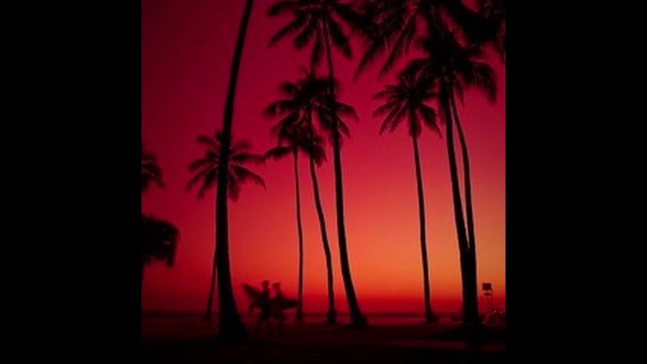 Cult Member - Selling Mid in Miami (SMS001)