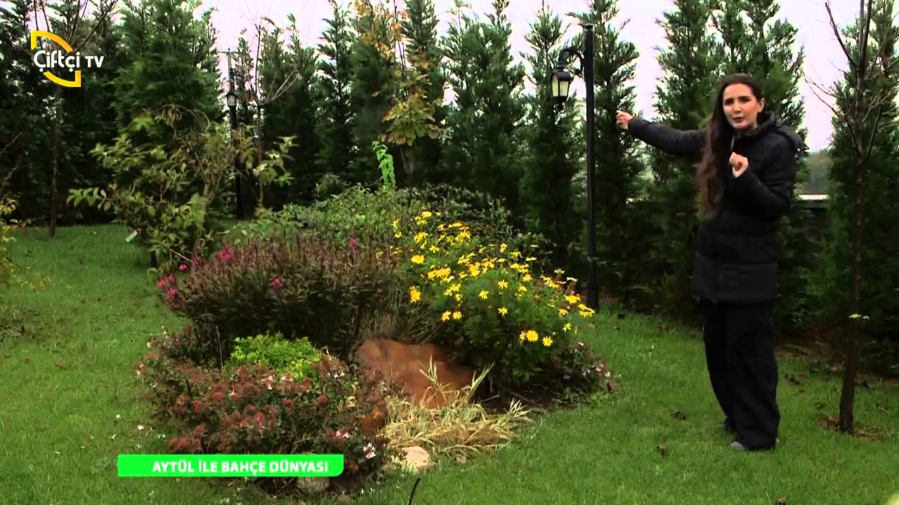 BAHÇE DÜNYASI   BAHÇE TASARIMI