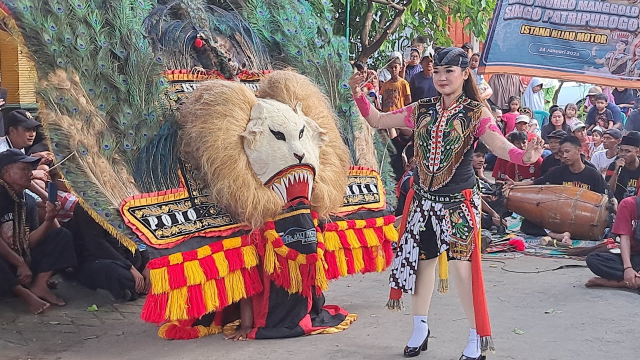JOS LURR.!!! KEREN BANGET ATRAKSI PEMBARONG GANTENG BERSAMA JATHIL CANTIK INDOLANYA PENONTON