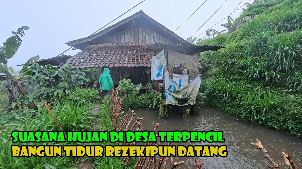 Hujan Mengguyur Kampung Pesawahan..Suasana Yang Begitu Kami Rindukan.