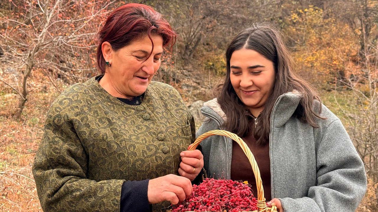 ՀԱՅ ԳՅՈՒՂԱՑԻՆԵՐՆ ի՞նչ դեղաբույսերից են թեյ պատրաստում /Как собирать ТРАВЫ и ЯГОДЫ для чая в ДЕРЕВНЕ?