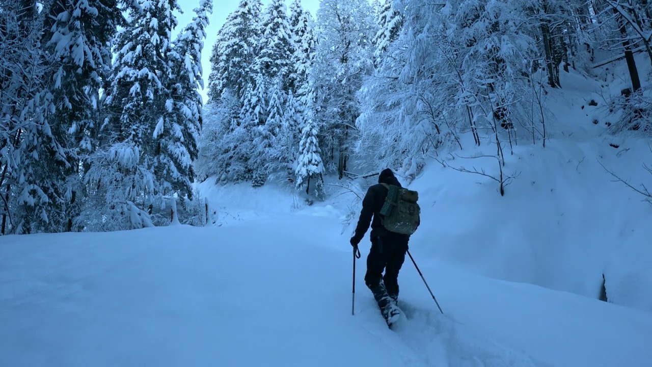 Tagestour im Winter, Wanderung im Tiefschnee mit Scheeschuhen