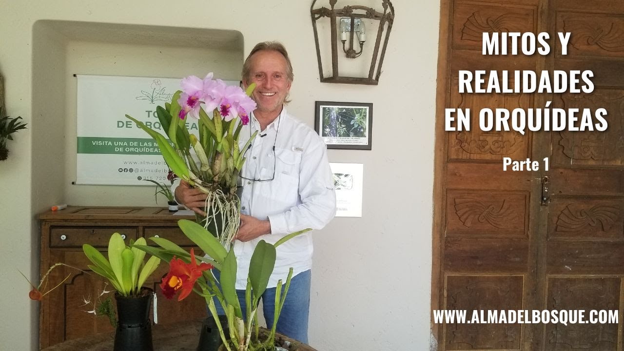 Mitos y realidades en orquídeas - Parte 1 - Alma del bosque