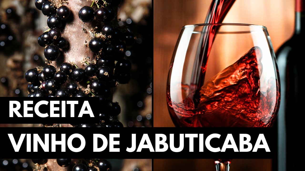 COMO FAZER UM DELICIOSO VINHO DE JABUTICABA #042