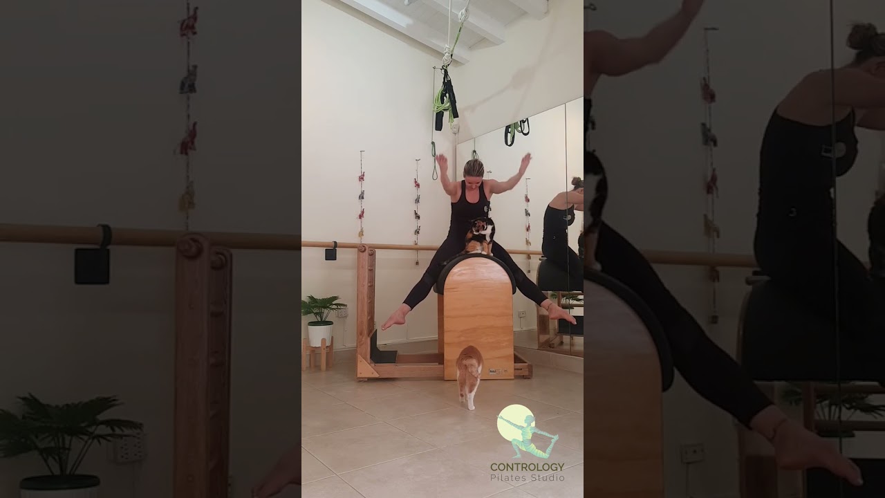 PILATES | LADDER BARREL | BARRIL DE ESCALERA | CPS | PR&Aacute;CTICA COMPLETA | 20 MINUTOS | 22_02_2023