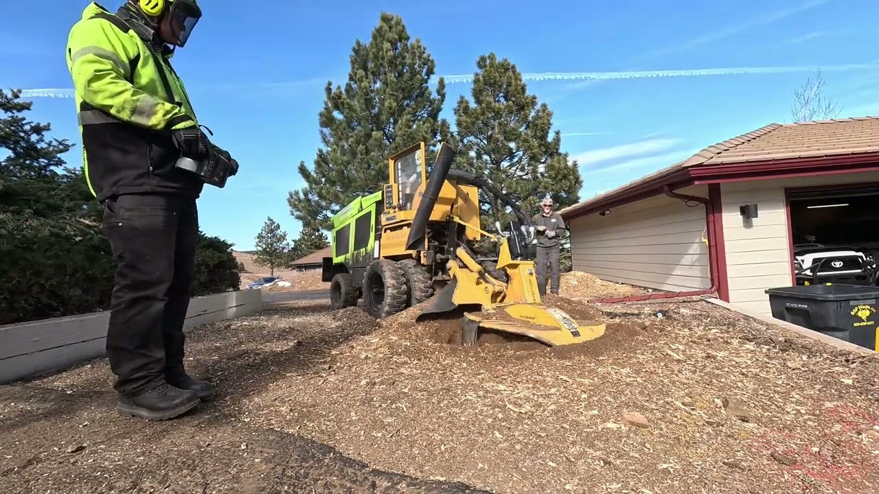 Quick Sunday stump removal in the foothills