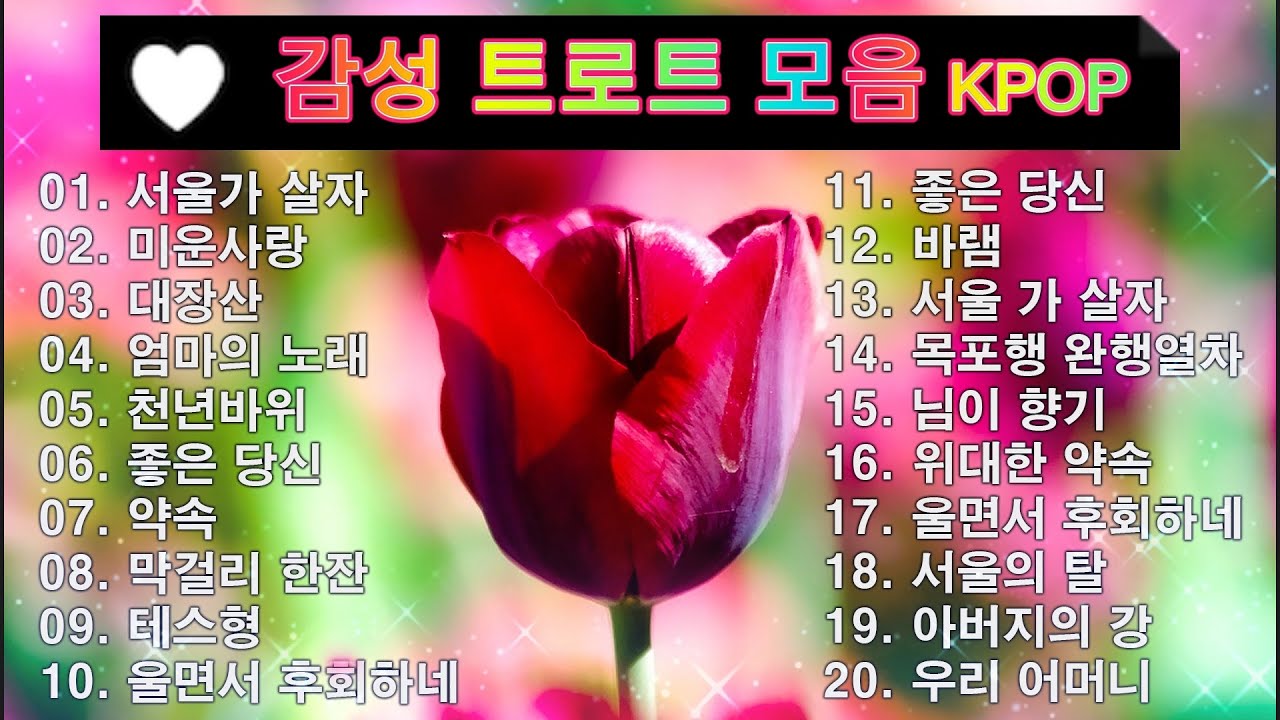 감성 트로트 모음 KPOP (TROT) PLAYLIST 💸 ( 꽃길.상사화.여인의 눈물.회룡포.바람길...) #Kpop