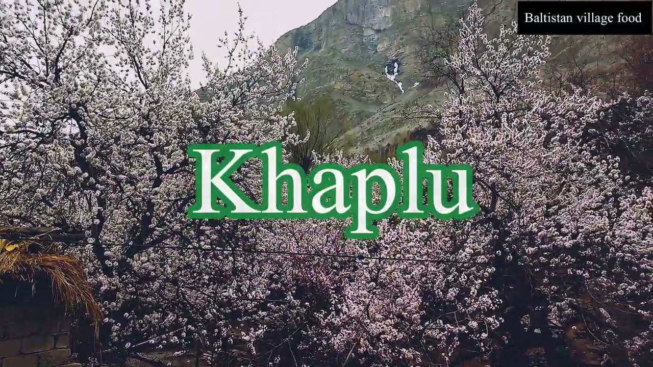 Beautiful Baltistan khaplu Barah valley apricot blossom unseen Barah #village @villege food secrets