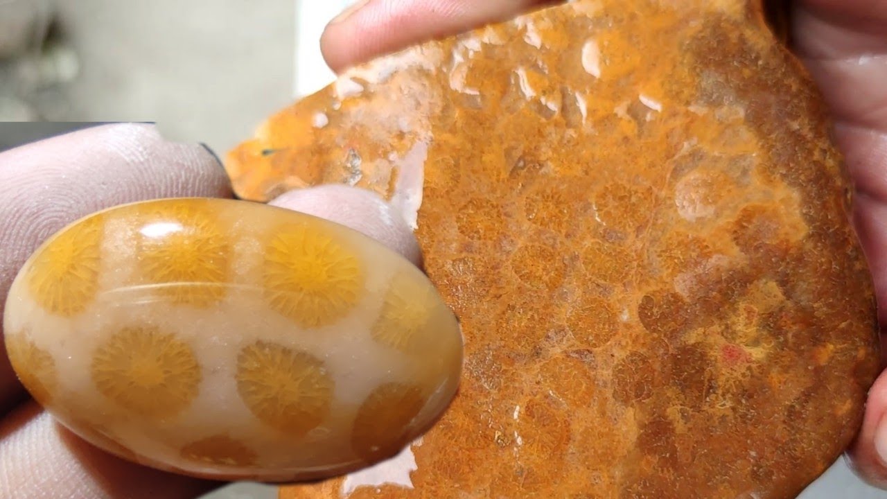 baru pertama kali mengolah fosil teratai, cakep sekali kawan || watu atos, arif lanosa