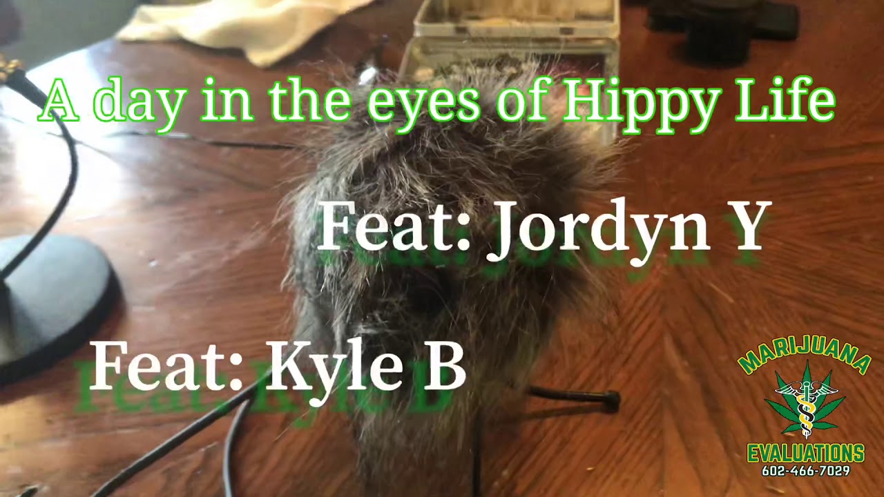 Marijuana Evaluations and Hippy Life!