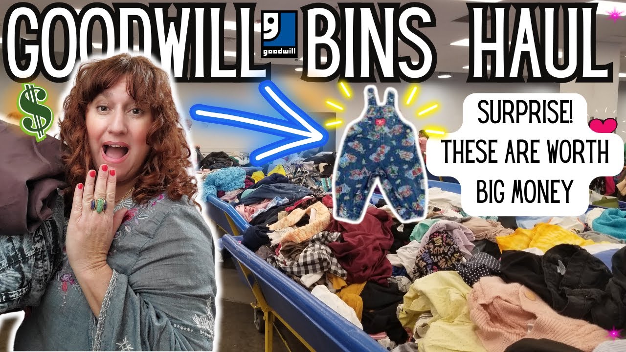 I Found Her Collection & It's Worth $$$ ~ Huge GOODWILL OUTLET BINS Thrift HAUL TO RESELL on Ebay