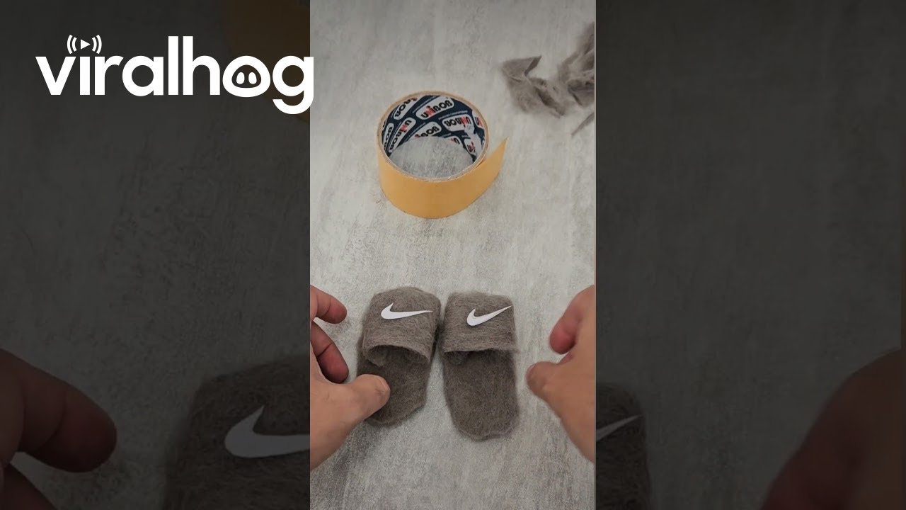 Cat Wears Slippers Made Of Own Fur || ViralHog