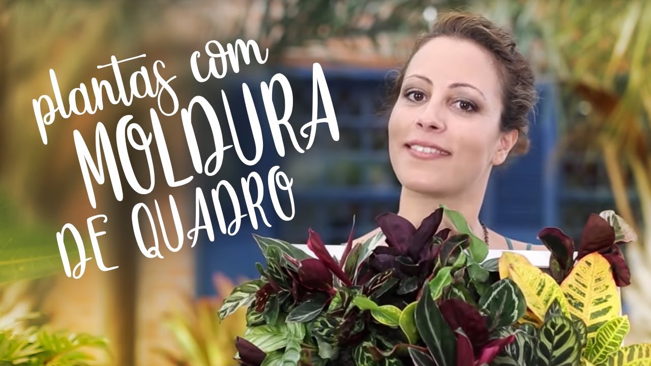 Floresta de parede: transforme uma moldura em jardim!