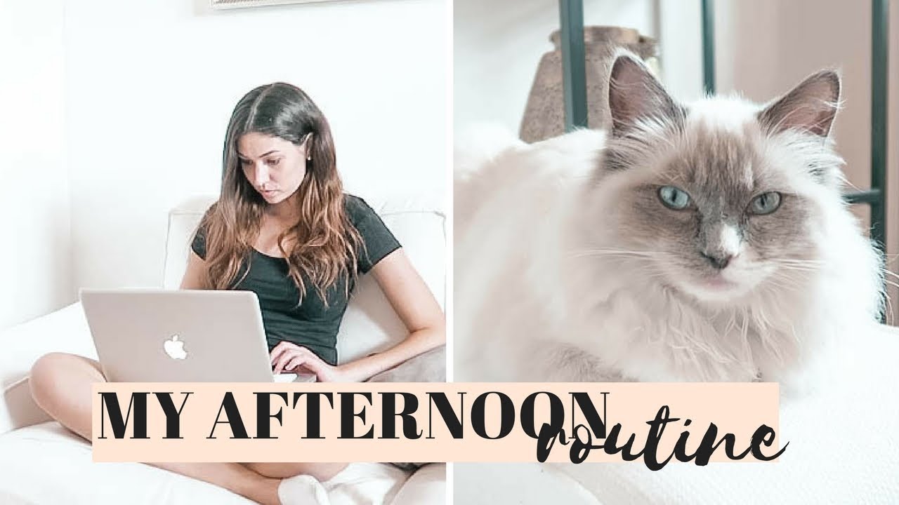 MY AFTERNOON ROUTINE! Elisabetta Pistoni