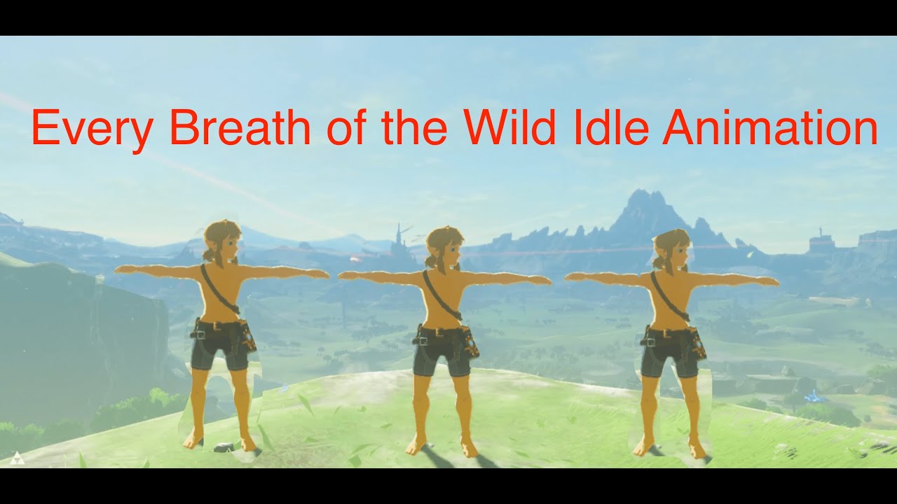Every single Idle Animation in Breath of the Wild