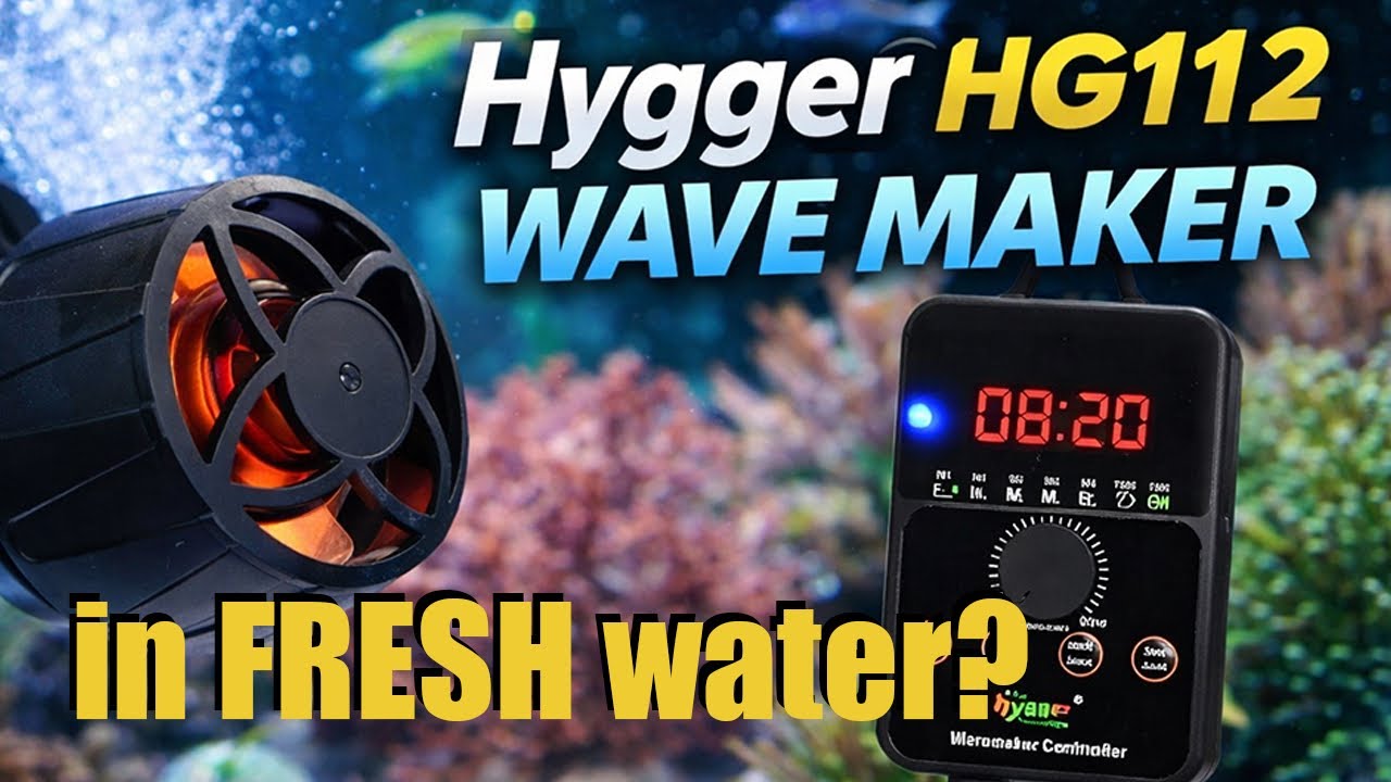 Using a Saltwater Wave Maker in a Freshwater Aquarium | Hygger HG112 Review
