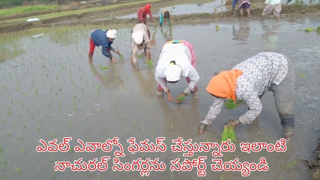 గాజులు గాజులు గాజులు రంగయ్య లో మంచి కాజల్ న్యూ సాంగ్