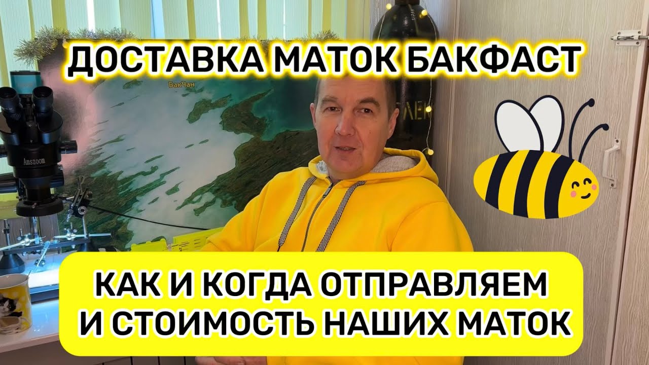 Доставка маток Бакфаст. Как и когда отправляем и стоимость наших маток