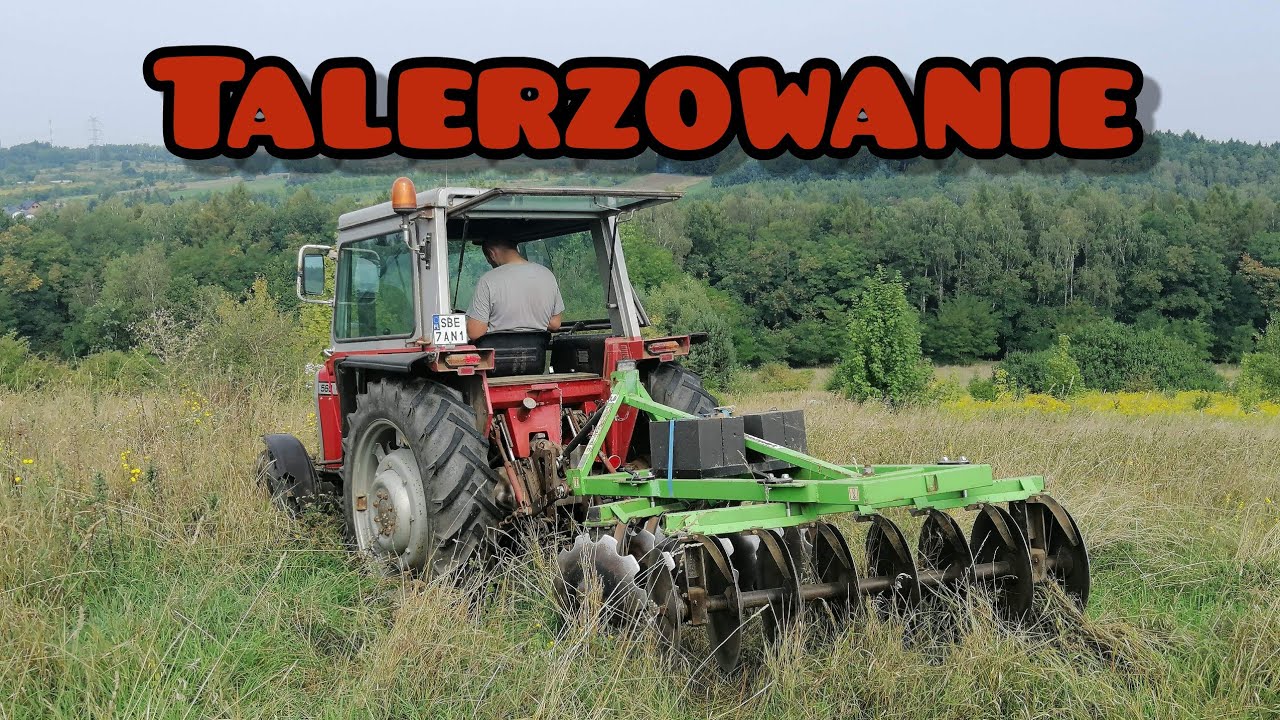 Talerzowanie 2019! ⚡Massey Ferguson 560 & bomet⚡
