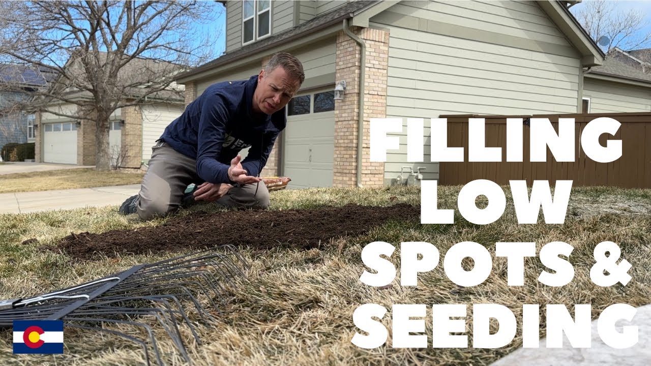 How To Fill Low Spots In your Lawn and How to Get Your Lawn Seed To GROW!