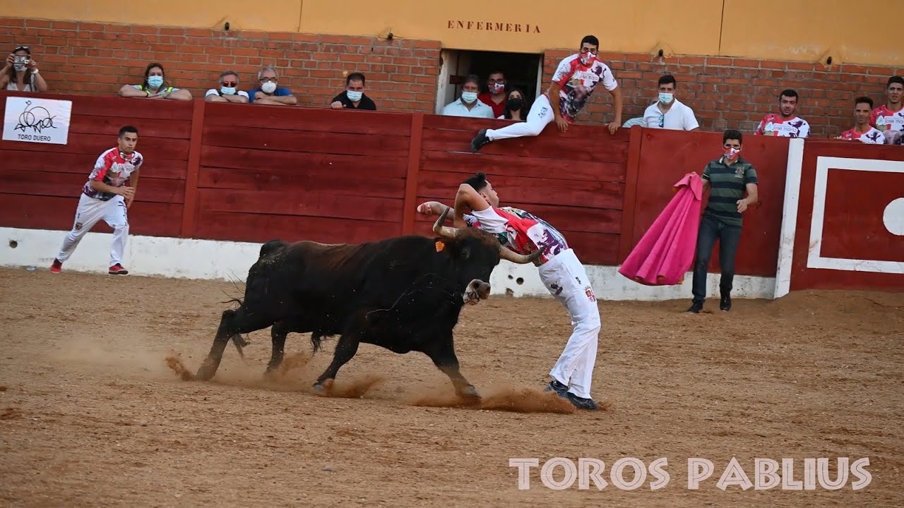 I Eliminatoria del IV Campeonato de cortes Castilla y León Fuentesaúco 2021