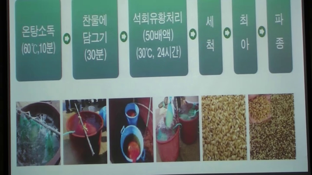 [친환경 찰벼 재배 교육] 강의 2부-종자소독, 못자리 관리(백태현 양평군농업기술센터 작물기술팀장)(20년 4월 8일)