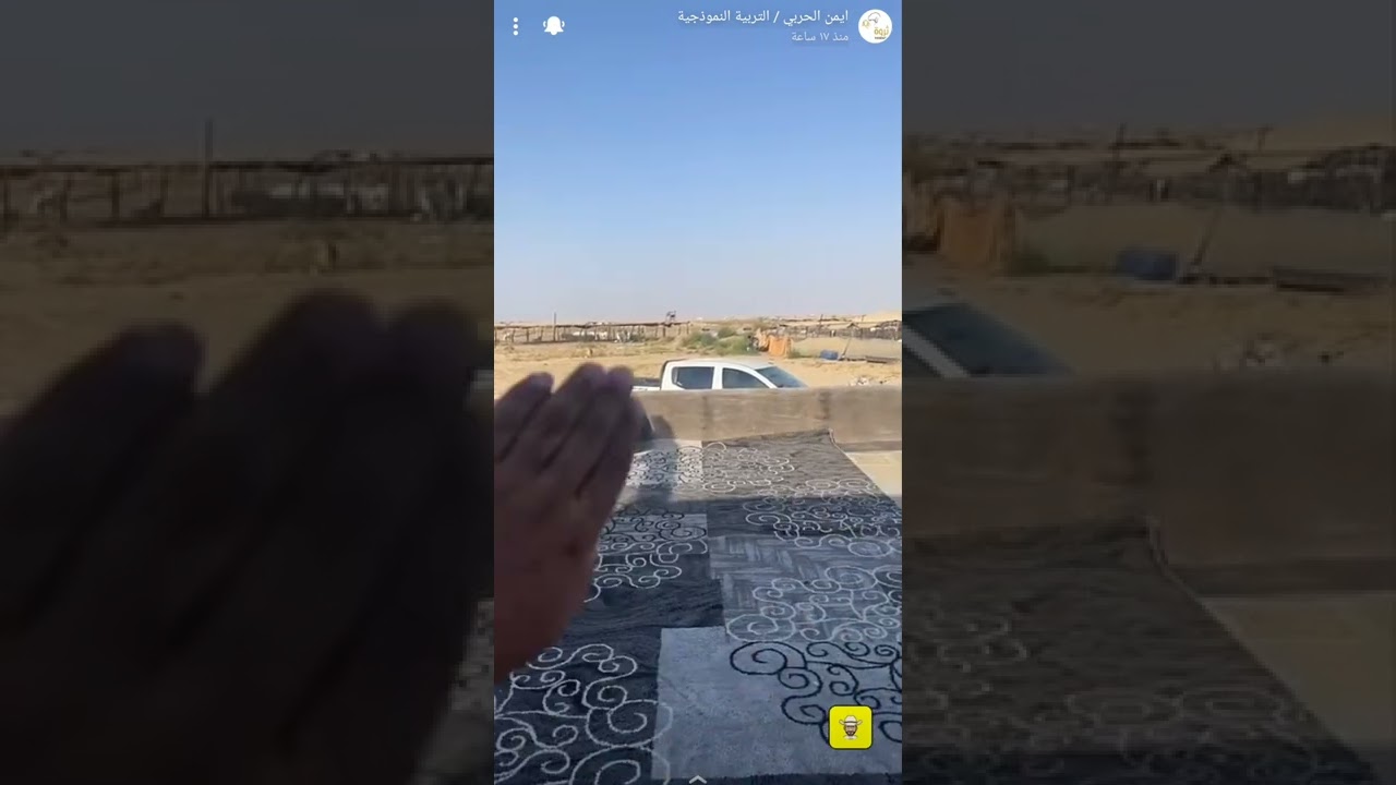 اداره فحول القطيع وطرق توزيعها  معلومات مهممممه 🐏🐏