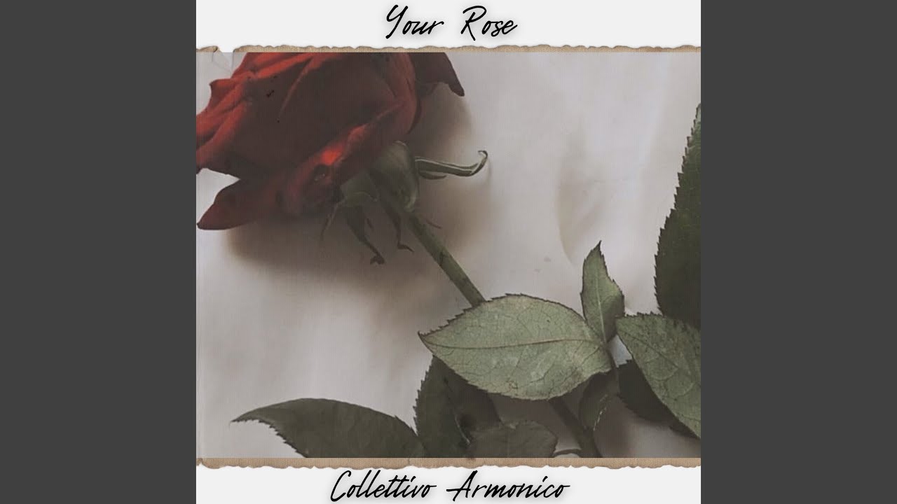 Your Rose