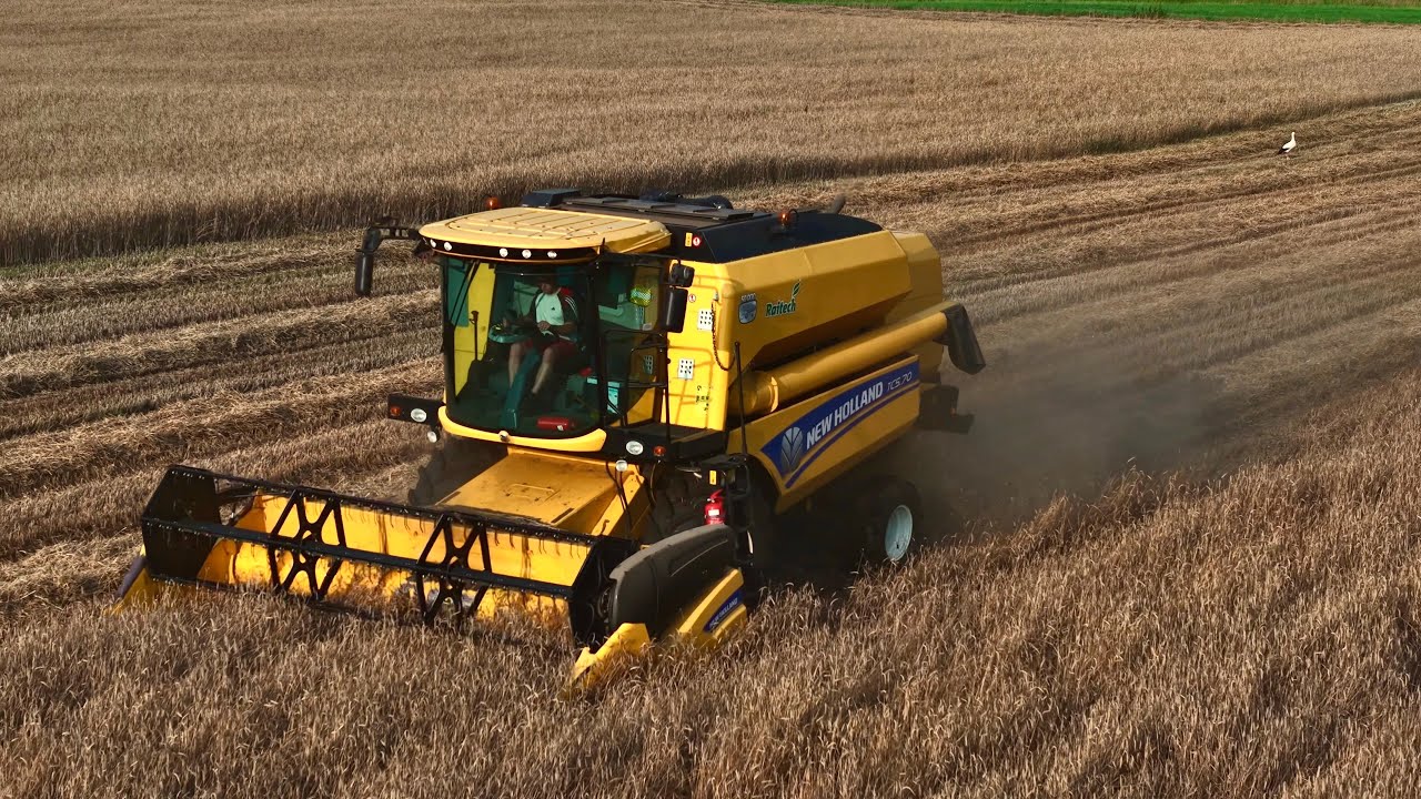 🇵🇱 ŻNIWA 2025 | CASE MAXXUM | NEW HOLLAND 🇵🇱