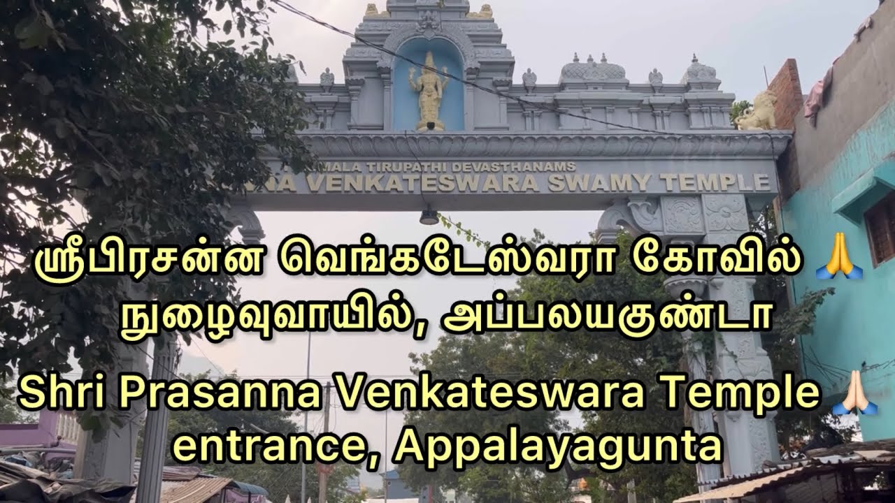 #திருமணம் தடையின்றி நடைபெற இந்த பெருமாள் கோவிலில் வழிபாடு பண்ணுங்க | Appalayagunta Perumal Temple