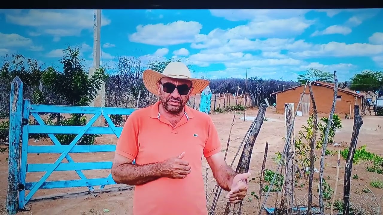 Revelação do matuto mamoeiro