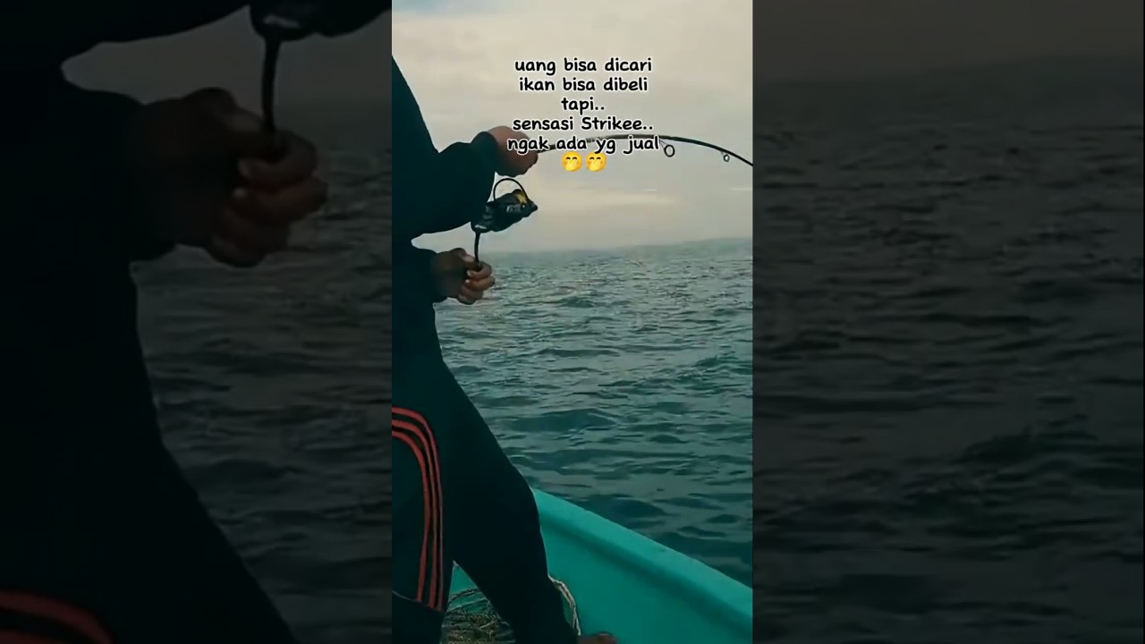 MOCEL : Detik-detik Strike Ikan Monster!!! 