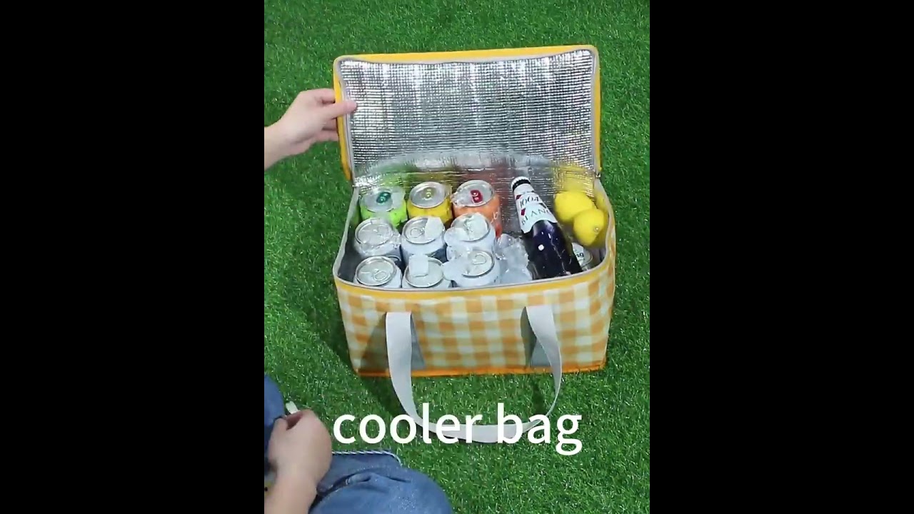 picnic bag