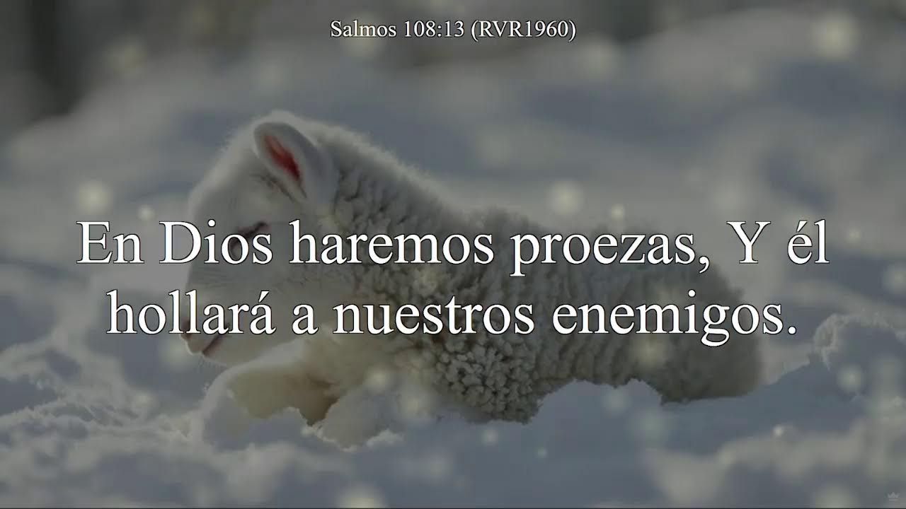 Proclamacion Del Año  12/31/25