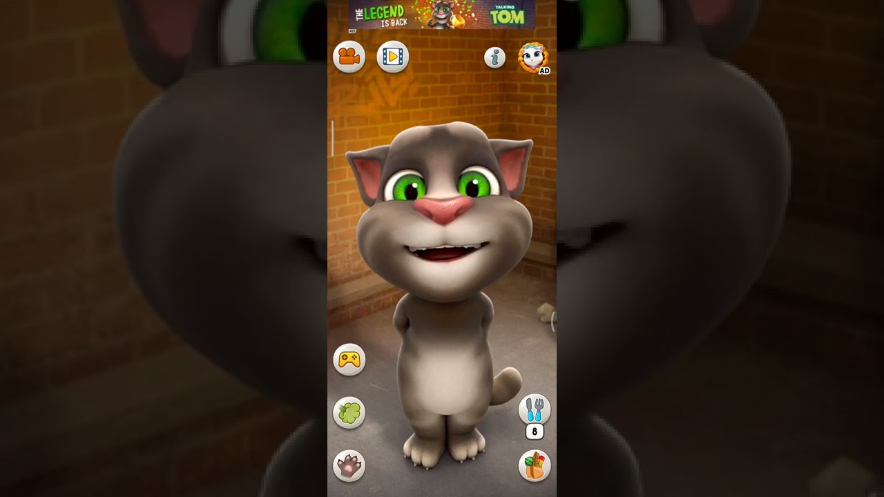 cat song | cat vidai song | cat music