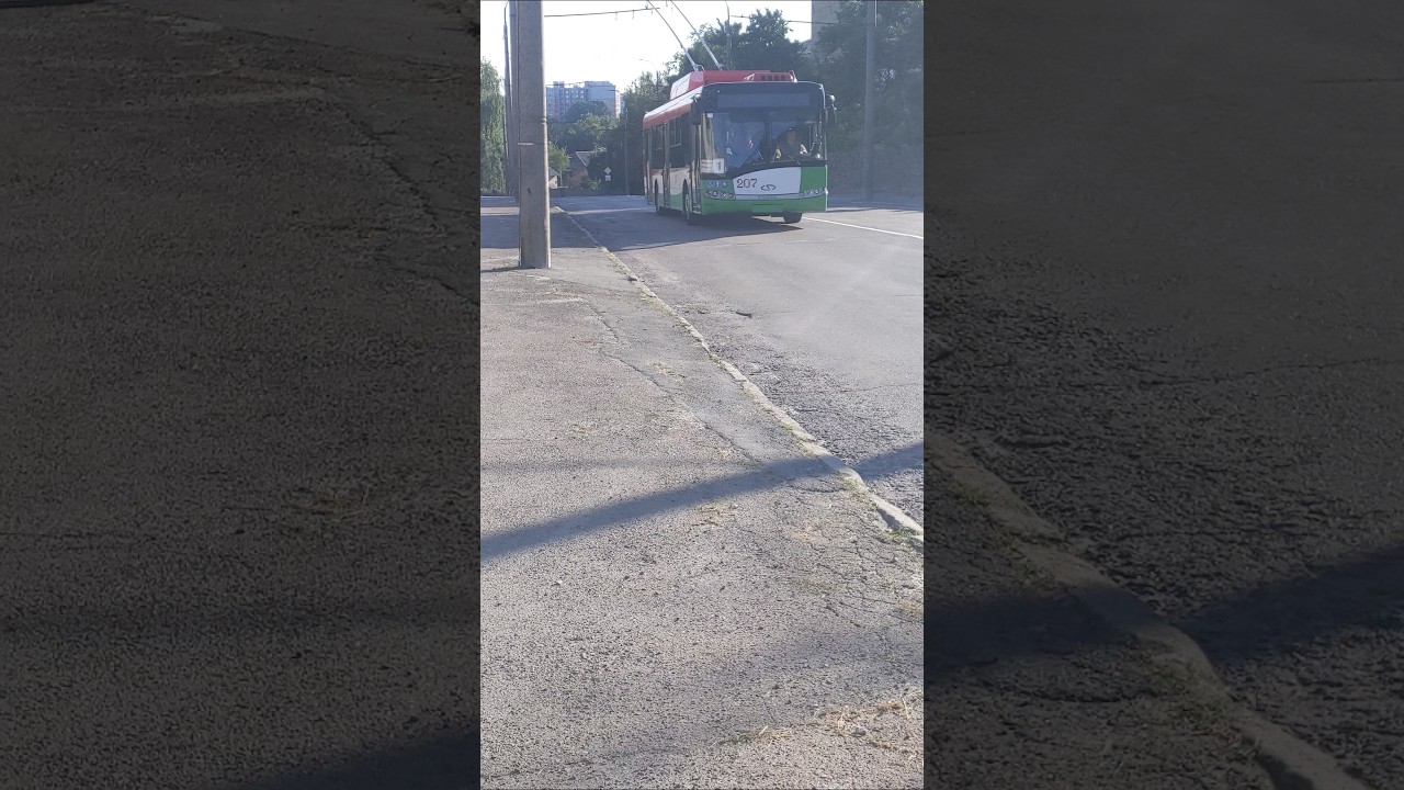 Solaris trollino ||| 12 S .207.