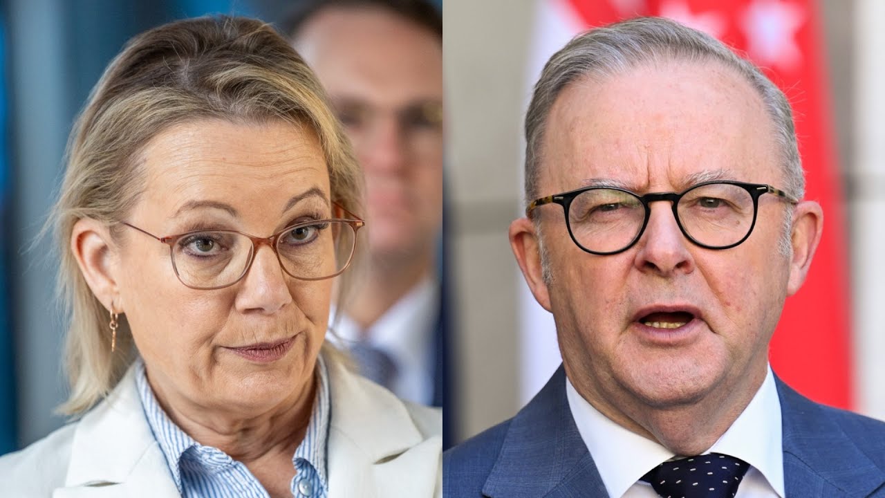 Liberals must address ‘policy vacuum’ to challenge Labor