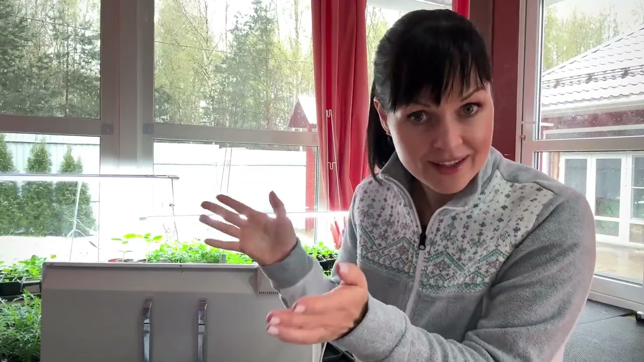 Творческие будни. Выращивание однолетних цветов. Сушка сухоцветов для эпоксидной смолы.