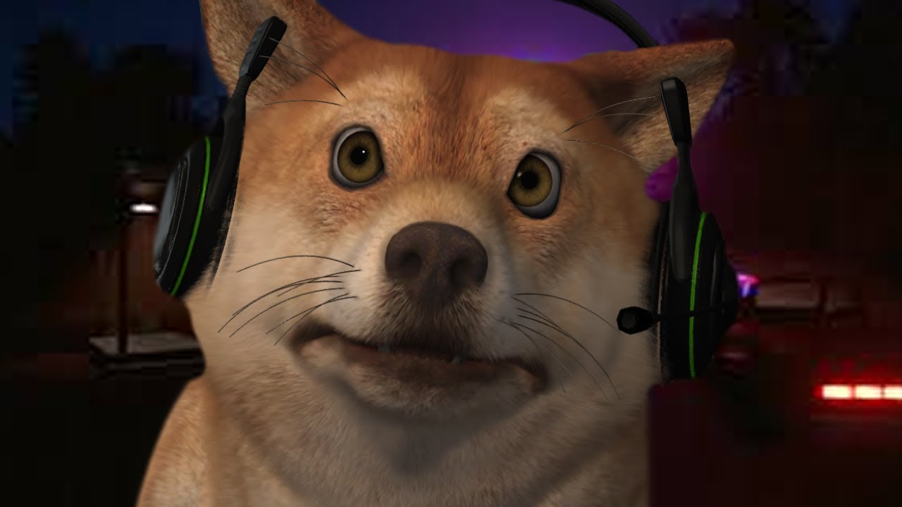 DOG PLAYS ROADSIDE CAFE