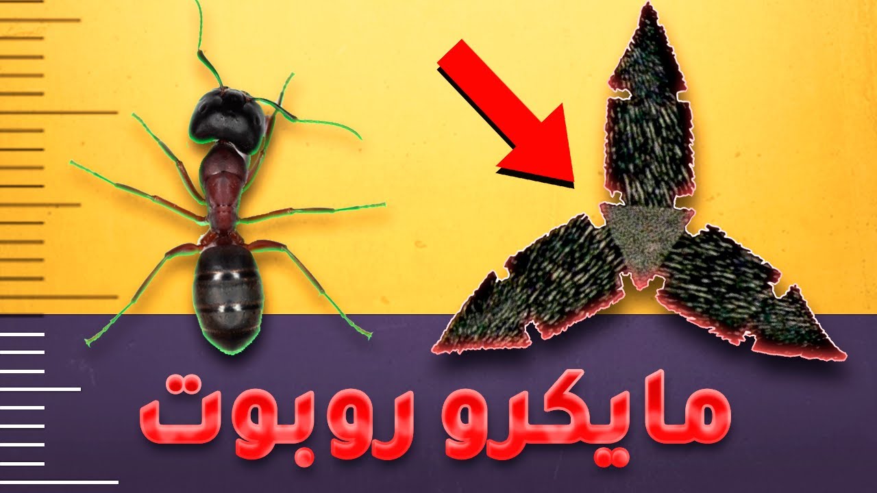روبوتات مغناطيسية دقيقة – روبوت يغسل أسنانك
