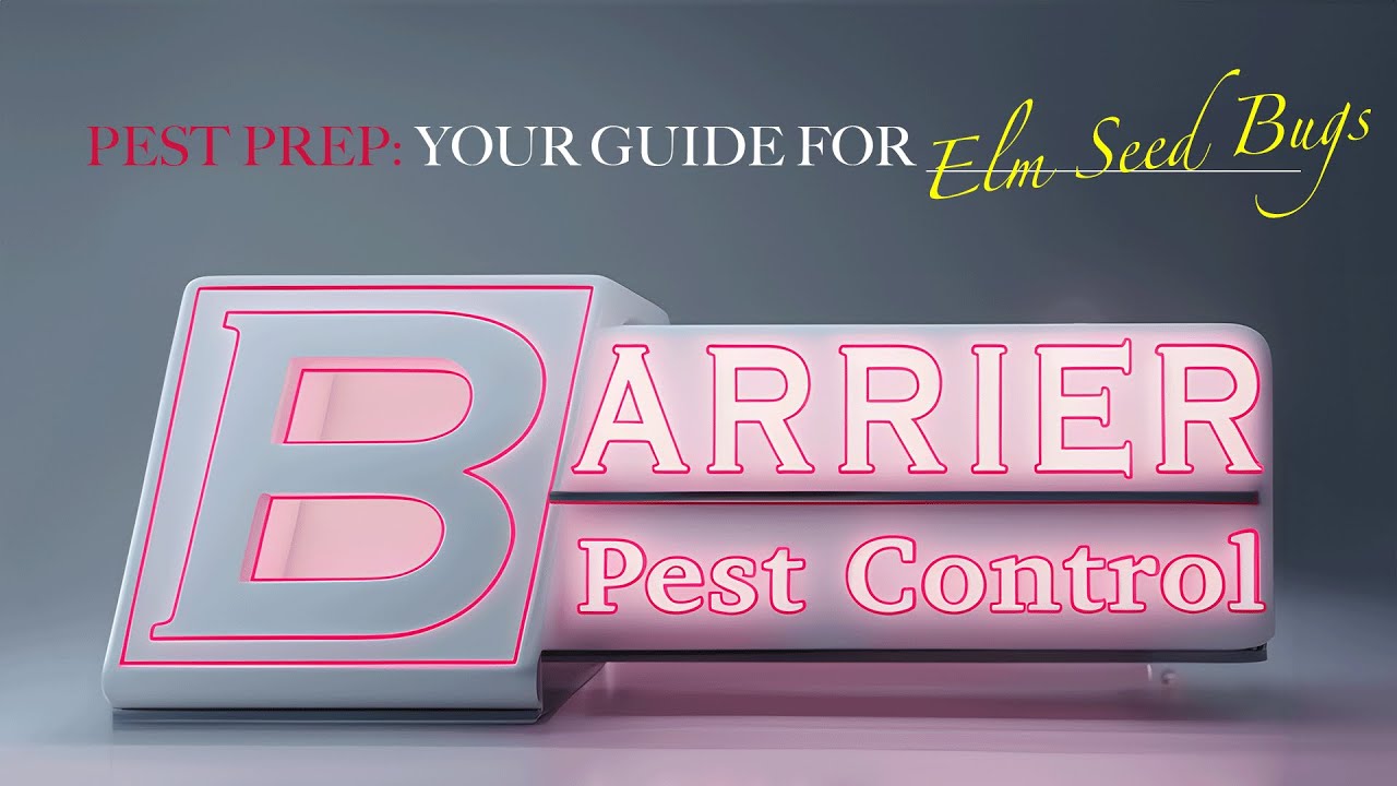 PEST PREP 101: ELM SEED BUGS