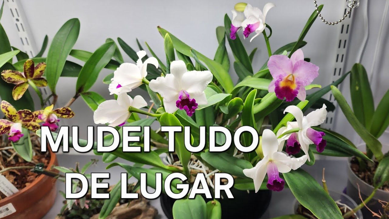 🟣ORQUIQUARTO novo?acompanhe a instalaçao DAS LAMPADAS e toda mudança comigo.