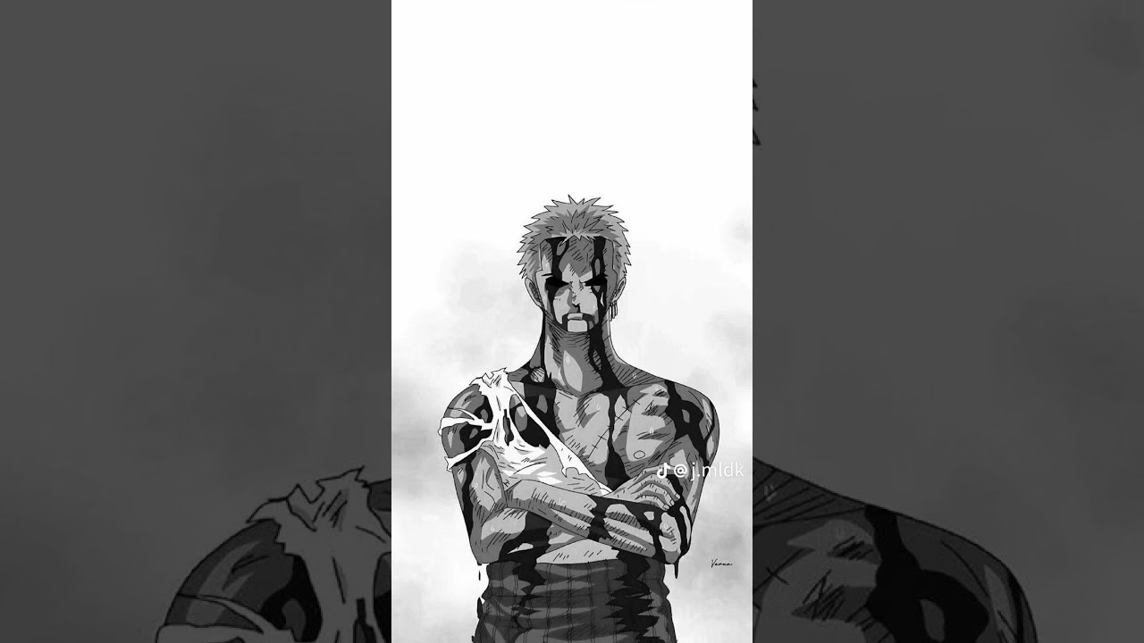 zoro best video