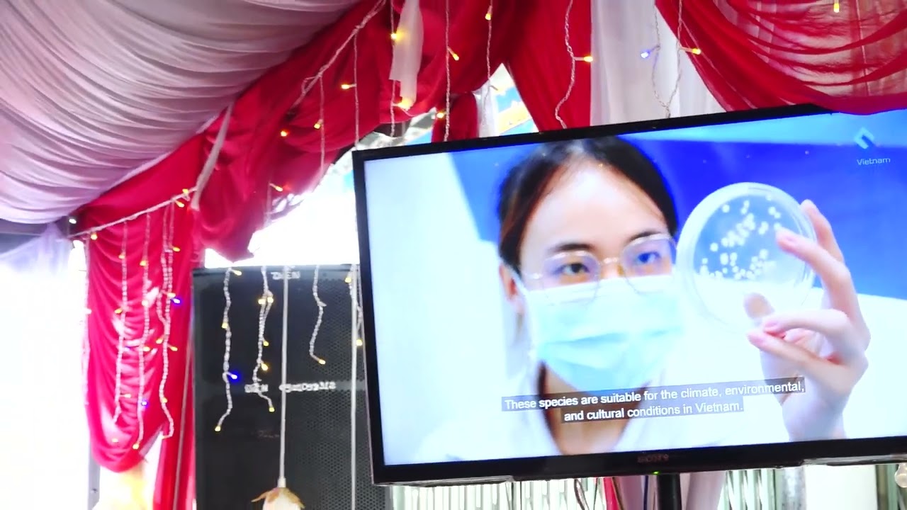 CÔNG TY TNHH NGỌC NGHIÊM - TẤT NIÊN 2026